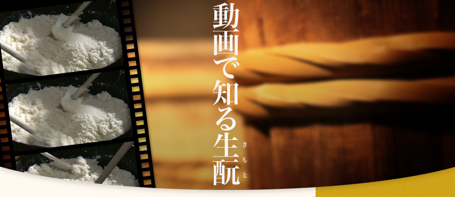 動画で知る生もと