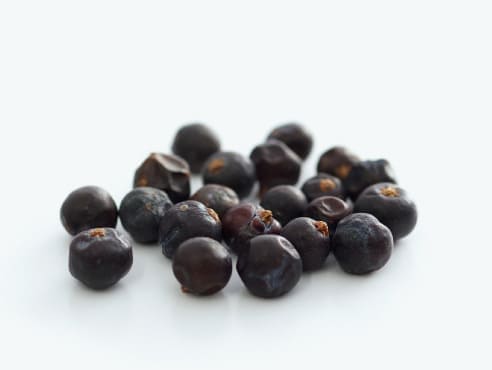 ジュニパーベリー