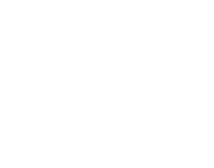 芳醇な香りと上質な味わいを 菊正宗 樽酒