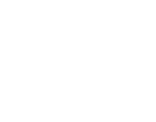 芳醇な香りと上質な味わいを 菊正宗 樽酒