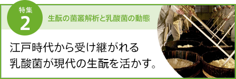 特集2 江戸時代から受け継がれる乳酸菌が現代の生酛を活かす。