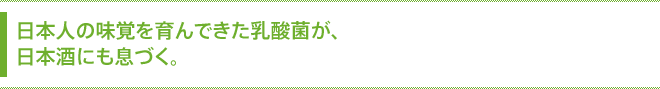 日本人の味覚を育んできた乳酸菌が、日本酒にも息づく。