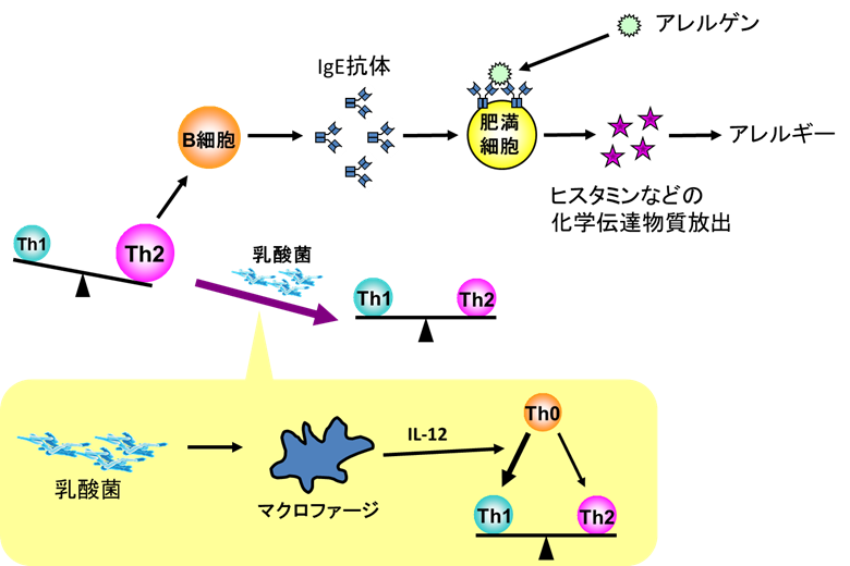 mechanism