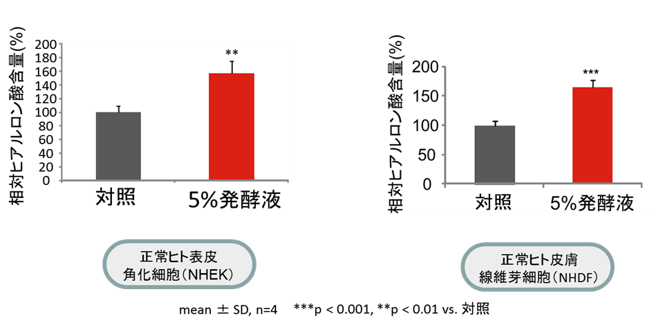 hiaruronnsan