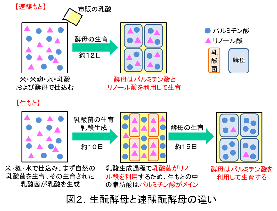 fig2